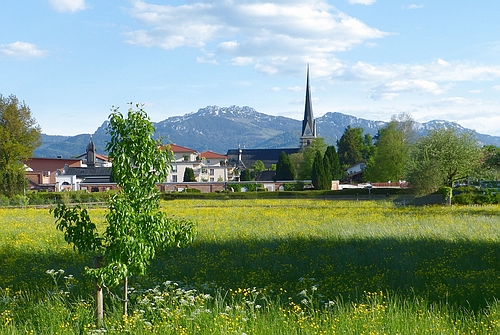 Blick auf Prien